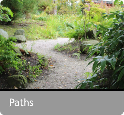 Paths